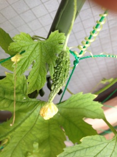 �����̃S�[�������B