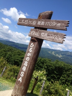 �Ђ邪�̍���