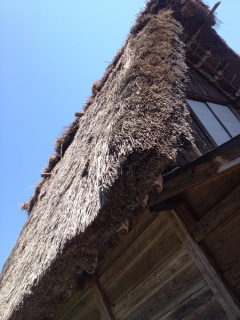 �������E��Y������