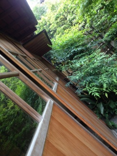 �Â����{�Ɖ���