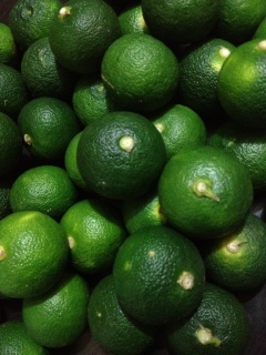 ���N��������1�L��