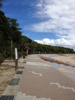 �g�ǃ��C�L�L�r�[�`