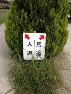 �����́A��n���ł���񂾂�`