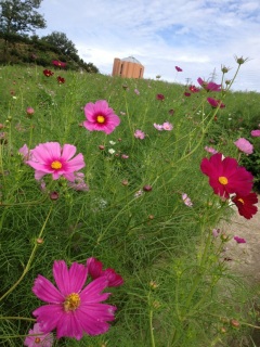 �R�X���X��