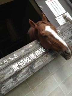 ���n����