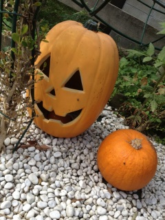 �q��̒���