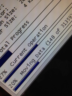 �S�܂ꂻ���Ȑ����c