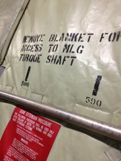 ����͏��q��n��