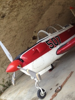 ����A���������킢��