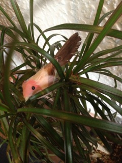 ����񂿂��