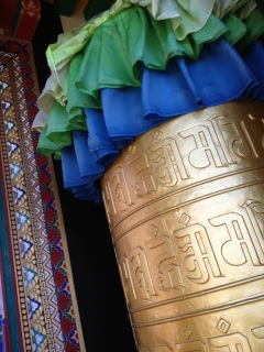 �����䂤�́A