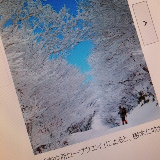 ����̃��t�g�s