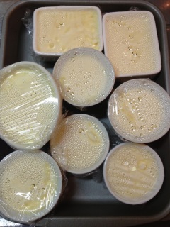 �ł�����