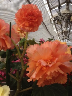 ���ԁE�E�E