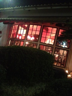 ��͂�����ցB