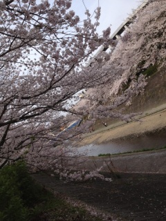 ������Ɠ܂��Ă邯�ǁB