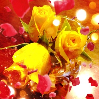 D�����ɖ����