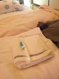 �����[�܂��łނ����[