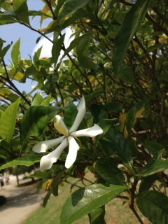 ������������`