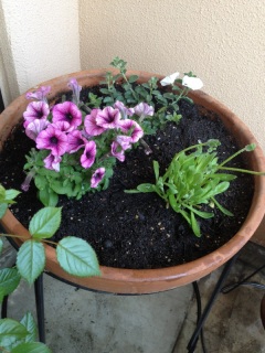 �������ƁA�u�₩�ȕ���