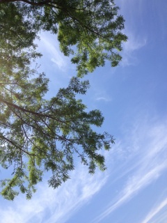 �r���[�e�B�t���T���f�[w