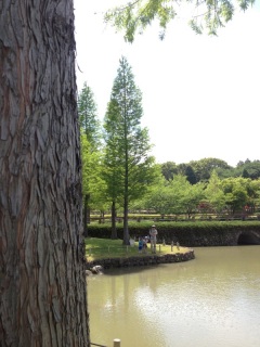 ���������A