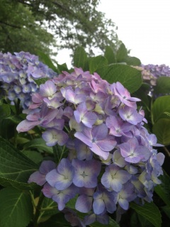 �E�H�[�N�I�E�H�[�N�I