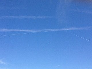 �v���Ԃ�ɁA���ꂽ�I