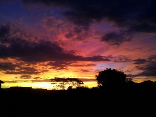 ����̗[�Ă�