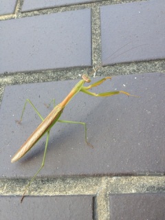 �J�}�L���I