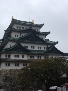 ��������́A