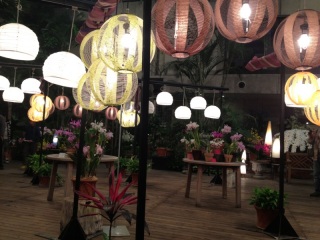 �����䂤�́A