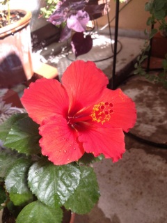 �܂��܂��炭��