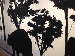 �J�t�F���ۂ�