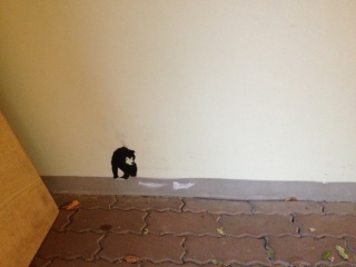 ����ȂƂ��ɂ�