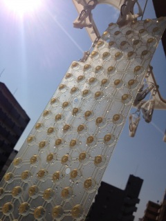 ��������̂��ڂ���