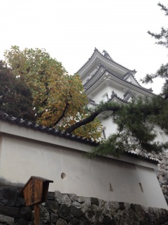 �܂��܂�����www