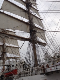 �Z�C���h����