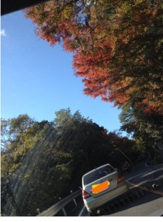 �����ɗ���܂�