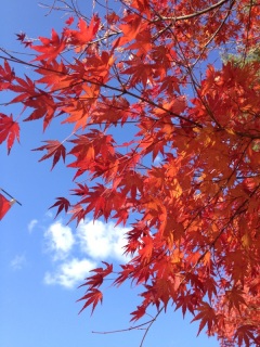 �󂪐��[���I