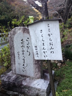 ���̋G�߂�