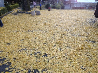 ���F���O�~