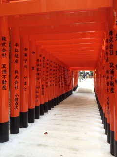 �s�J�s�J�\��