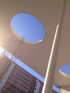 ������悤�ȁ@��