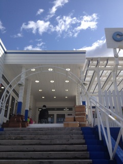 �����V�C����