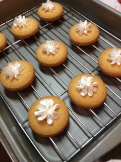 �v���Ԃ�ɃR�����A