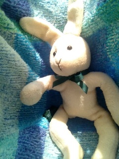 �n�����b�N