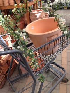 �������グ��