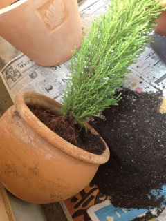 ���ɂ����