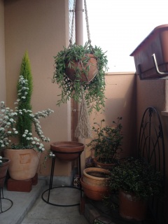 �Ԃ牺���Ă݂��B